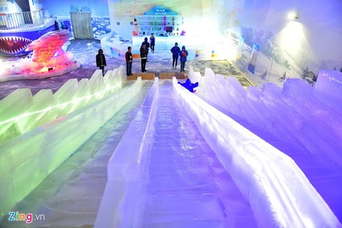 Kids escape heat at Saigon Polar Expo - ảnh 8